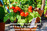 FoxFarm Ocean Forest Potting Soil Mix, 12 Quarts in a 4-Pack, for Indoor & Outdoor Gardens and Plants, with The Hydroponic City Stake