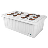SuperPonics 16 Hydroponic System by SuperCloset