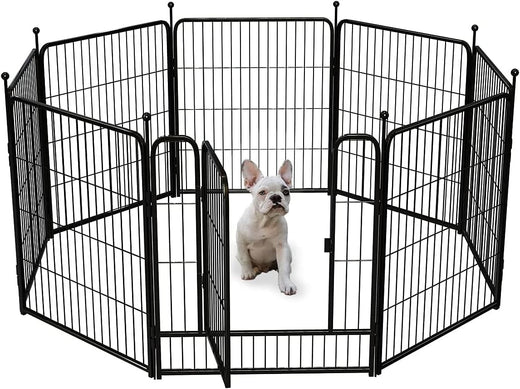 Pet