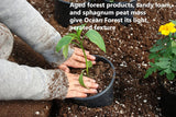 FoxFarm Ocean Forest Potting Soil Mix, 12 Quarts in a 4-Pack, for Indoor & Outdoor Gardens and Plants, with The Hydroponic City Stake