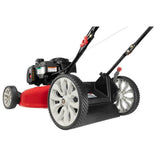 Troy-Bilt TB100 Walk-Behind Push Mower with Briggs and Straton Engine