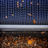 Bag-A-Nut 36×22 Small Acorn Picker Upper Push Collector